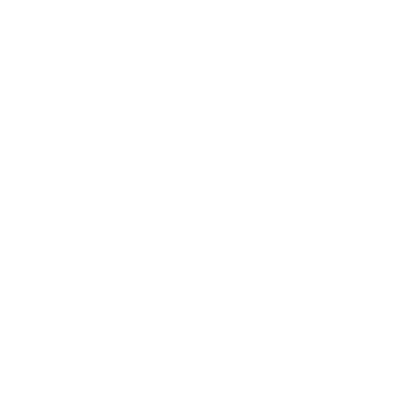BDS CentraleSupélec